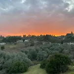 Yours Trulli 酒店 马丁纳弗兰卡