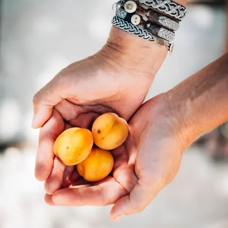 Yours Trulli 酒店 马丁纳弗兰卡