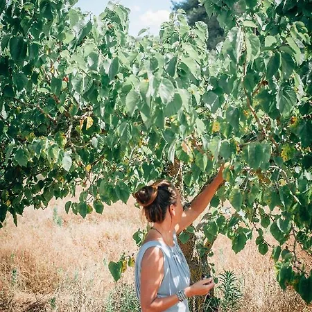 Отель Yours Trulli Мартина-Франка