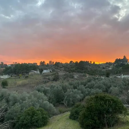 Yours Trulli Отель Мартина-Франка