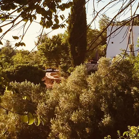 Yours Trulli * Martina Franca