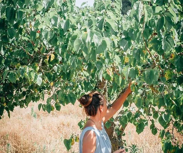 Hotel Yours Trulli Martina Franca
